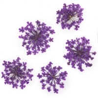 Molly Lac Suszone Kwiatki Ozdoba Do Paznokci 5 szt - Purple