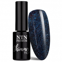NTN Premium Shimmer Top No Wipe 5 g - Aries